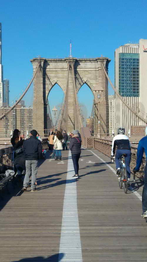 NYC_2017-11-24 10-21-15_CELL_20171124_102115